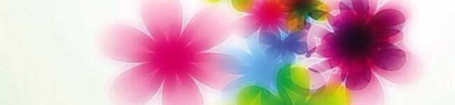 SANMIKI's header image
