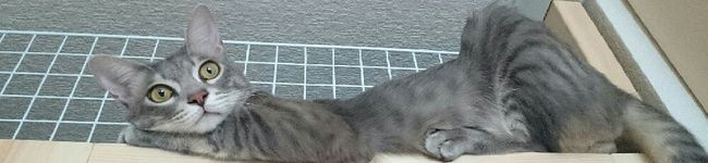 roseruru's header image