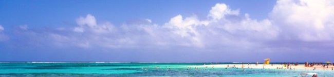 Ayako0713's header image
