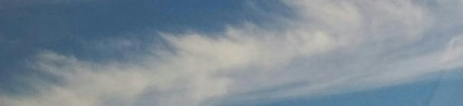 むぎちゃんず's header image