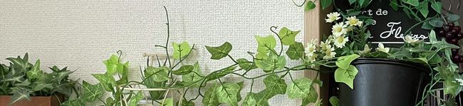 これにゃん☆'s header image