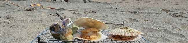 クックVF3C0C☆'s header image
