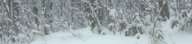 わさたく's header image