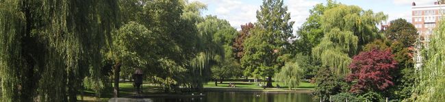 yfa's header image