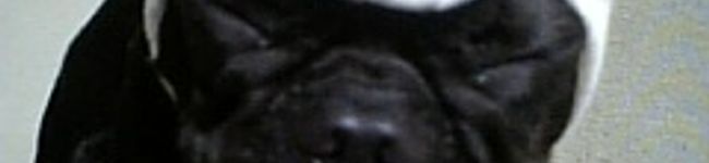 abuabu0122's header image