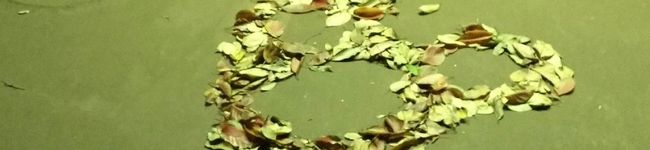 駐鹿場's header image