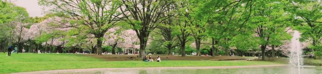 おね山おね子's header image