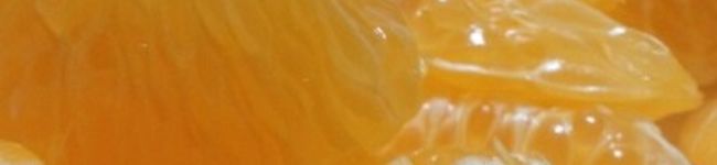 pecoemon's header image