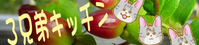 えむⅢ's header image