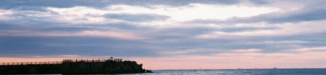 小さなおたぬきさん's header image