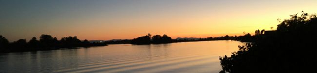 Pete1112's header image