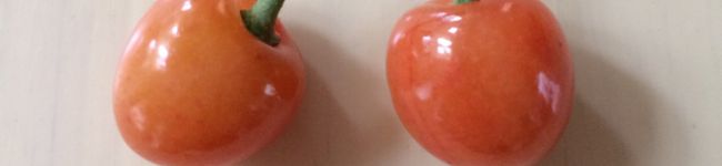 kimiko母's header image