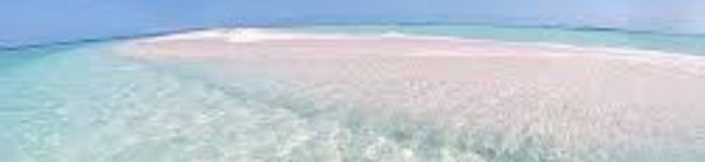 ZUBORAboo's header image