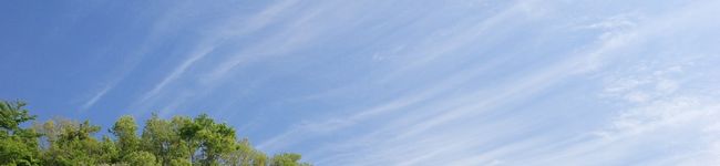 いとうづ's header image