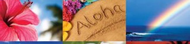 ALOHAワイン's header image