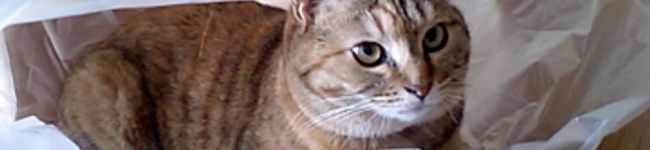 marili's header image
