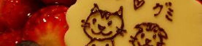 chaton65's header image