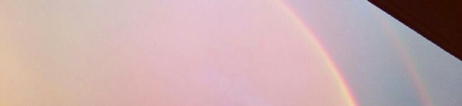 iaDAITO03's header image