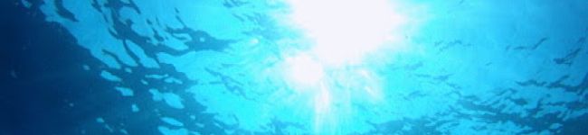 クックOE341U☆'s header image