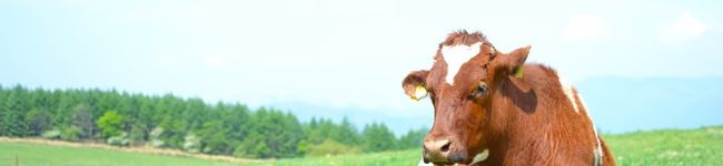 spicyhum29's header image