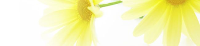 まま's header image
