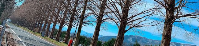 クックみささぎ's header image