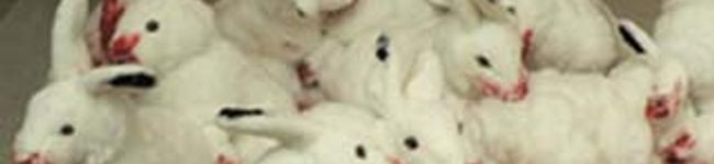 mikeekim's header image