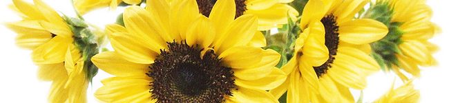 ママ22才's header image