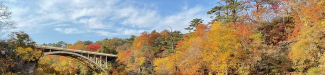 hachicook's header image