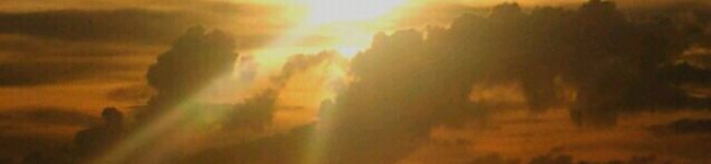 MYDEまいど's header image