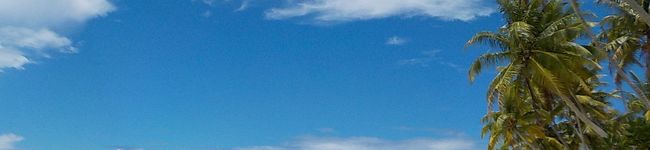 mayamitie's header image