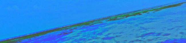 TGJ1104's header image
