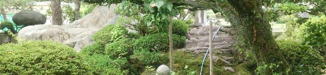 クックRIO's header image