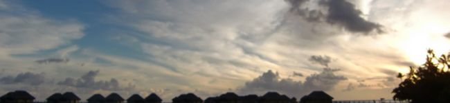 madey's header image