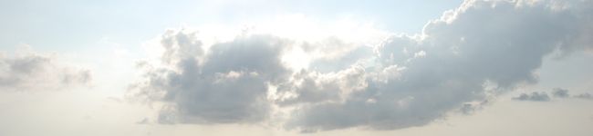 ＬＩＬＩＥ's header image