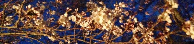 non512non's header image