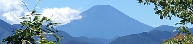 キッチンくん's header image