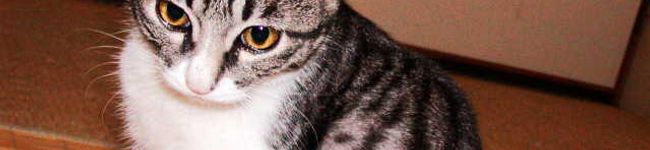 biankacima's header image