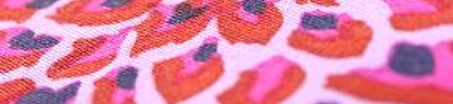nyammy's header image