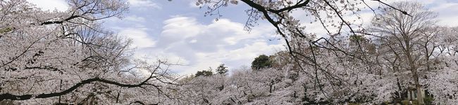 fumi43☆'s header image