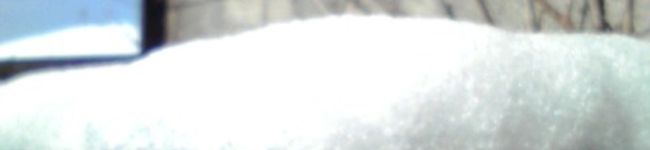 えこち's header image