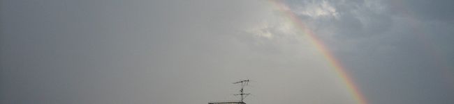 vivianne's header image