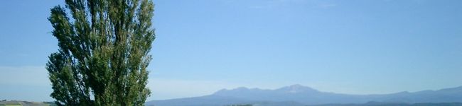 青い空だ's header image