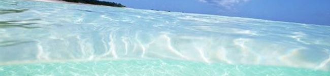 Momo❀✿'s header image