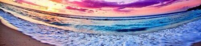 ek1's header image