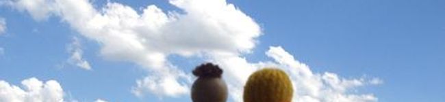 おびんずる's header image