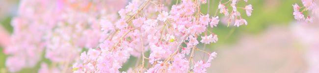 yuhpon's header image