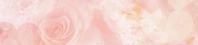 朝霧雪月's header image