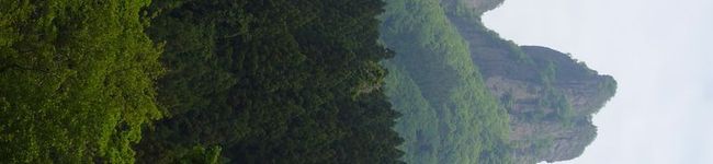kinpouge's header image