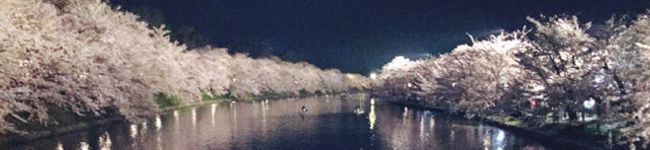 ベッちゃんmama's header image